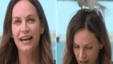 El momento quedó registrado en video.