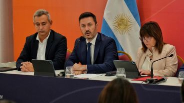 Petri dijo que las Fuerzas Armadas dará apoyo terrestre, aéreo y fluvial.