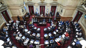 El DNU fue rechazado en el Senado.