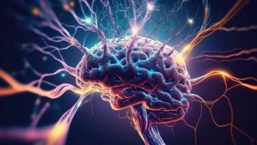 Desde la OMS buscan establecer metas y objetivos estratégicos para mejorar el acceso al tratamiento y la calidad en la atención.