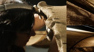 Imagel del montaje de la muestra inmersiva "Una noche en Calilegua"