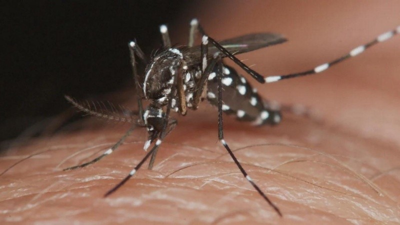 El gobernador Maximiliano Pullaro visitó este miércoles las instalaciones del LIF en la ciudad de Santa Fe.