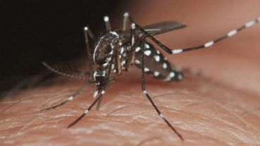 El gobernador Maximiliano Pullaro visitó este miércoles las instalaciones del LIF en la ciudad de Santa Fe.