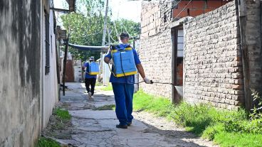 "Es una enfermedad que se ha vuelto endémica", aseguran sobre el dengue