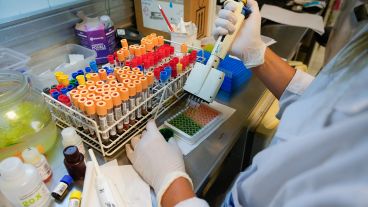 El laboratorio del Cemar recibe muestras de Rosario y del sur provincial.