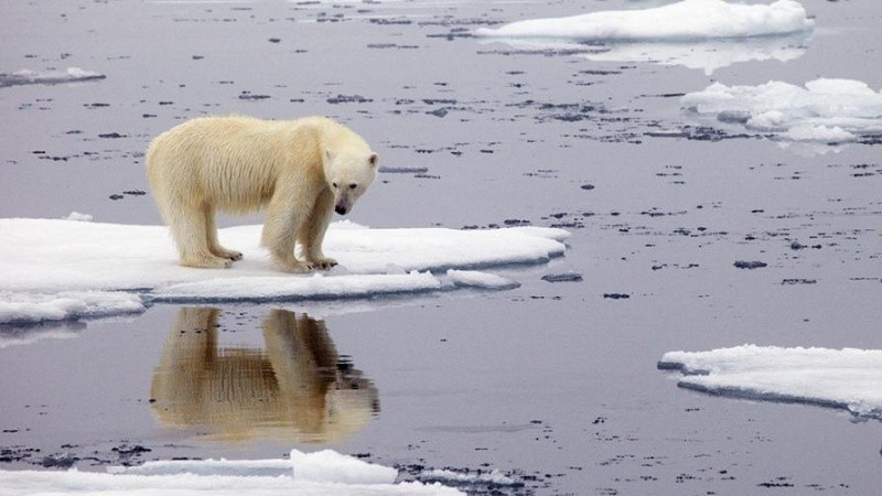 Las acciones a nivel individual, familiar y gubernamental son importantes para combatir el cambio climático.