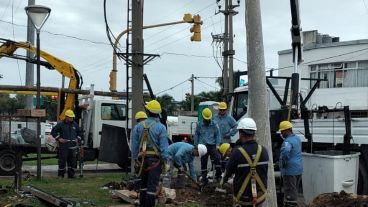 “Este delito tiene un impacto directo en la sobrecarga de la red eléctrica", advirtieron.