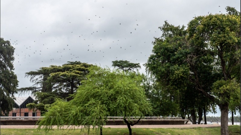 Un día gris, bien otoñal.