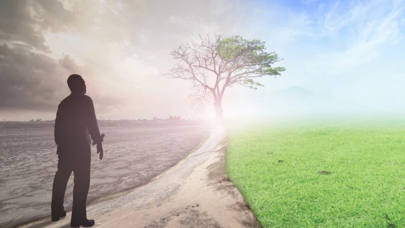 Tanto las temperaturas más bajas de las esperables como las más altas constituyen un riesgo, según los investigadores.