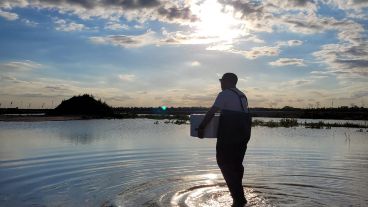En Funes Lakes, un desarrollo urbano residencial, en el que en 2022 decidieron utilizar peces como controladores biológicos de mosquitos .