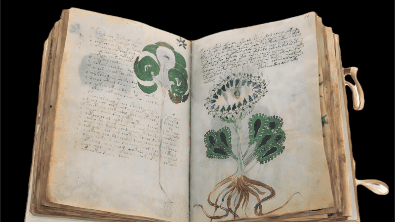 Pese a los estudios el manuscrito sigue siendo en gran parte un misterio.