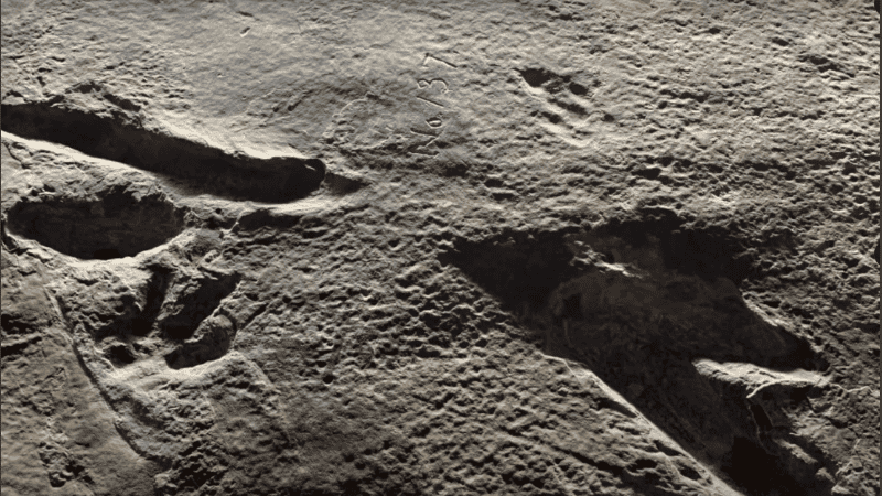 Las huellas fueron encontradas en 2020 por un equipo internacional de investigadores.