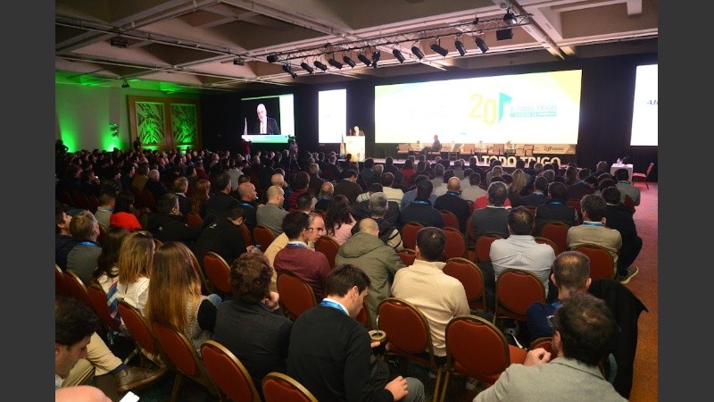 Expectativas positivas en el campo de cara a la siembra de trigo