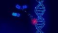 Una de las últimas novedades es la edición génica, la cual se está intentando aplicar en patologías poligénicas como el cáncer.