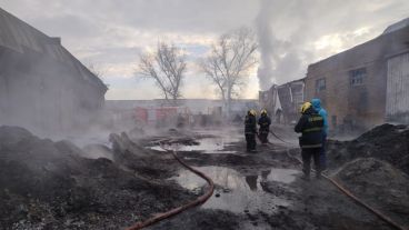 Las llamas se desataron en un predio de Lagos al 6700.