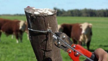 Los delitos rurales se incrementaron en los últimos años.