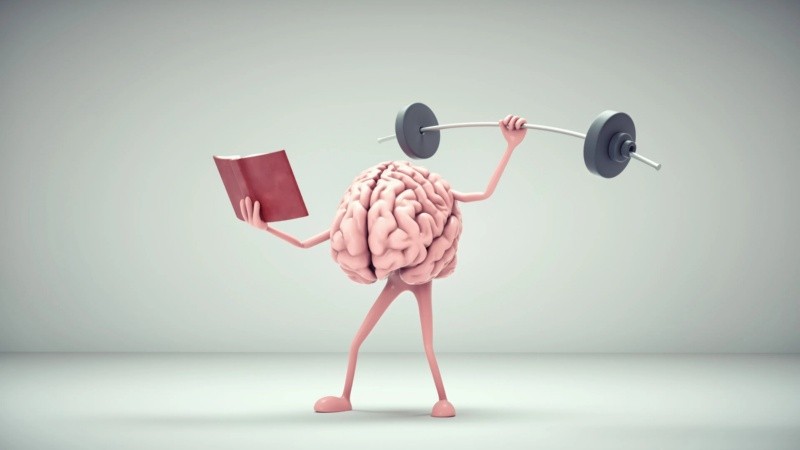 El entrenamiento requiere de novedad, variedad y desafío.