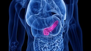 Un hallazgo que resulta clave para "re-educar" al ambiente que rodea al tumor.