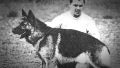 Día Nacional del Perro: la historia de Chonino, el ovejero alemán que dio origen al homenaje