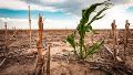Anticipan la llegada del fenómeno de La Niña, que podría generar una nueva sequía en el país
