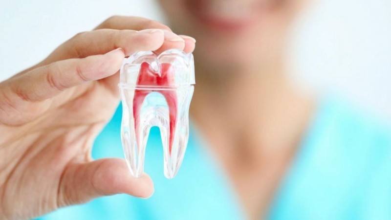 Una dieta desequilibrada y malos hábitos en general, influyen negativamente tanto en las enfermedades bucodentales como en la salud integral.