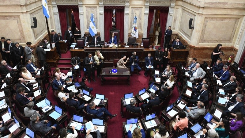 El 12 de junio se trata la ley Bases en el Senado.