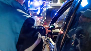 La cantidad de test que dieron positivos fue muy menor desde la ordenanza, comparando con años previos.