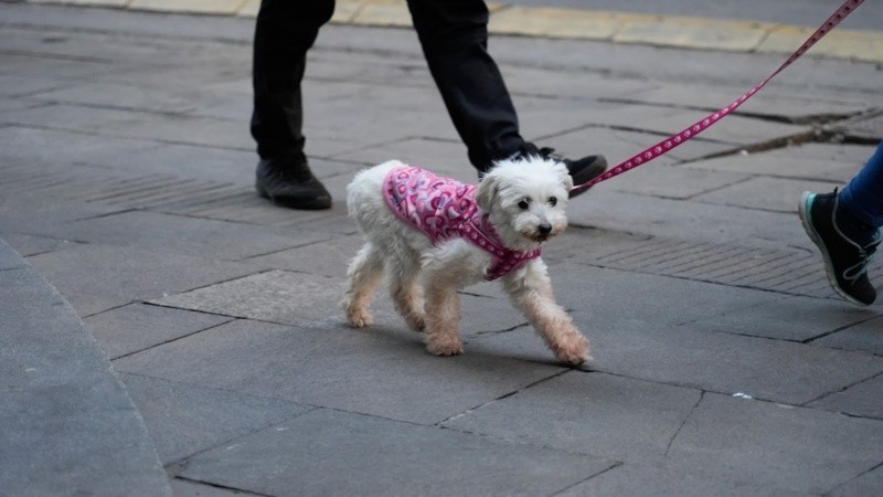 El domingo comenzó helado en la región pero a la tarde levantó.