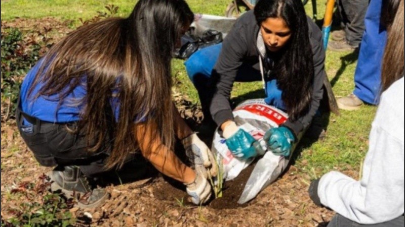 Será los viernes 5, 12 y 19 y el sábado 27 de julio, en dos horarios.