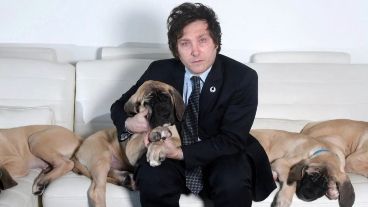 Plantean una pena de prisión de 6 meses a 3 años.