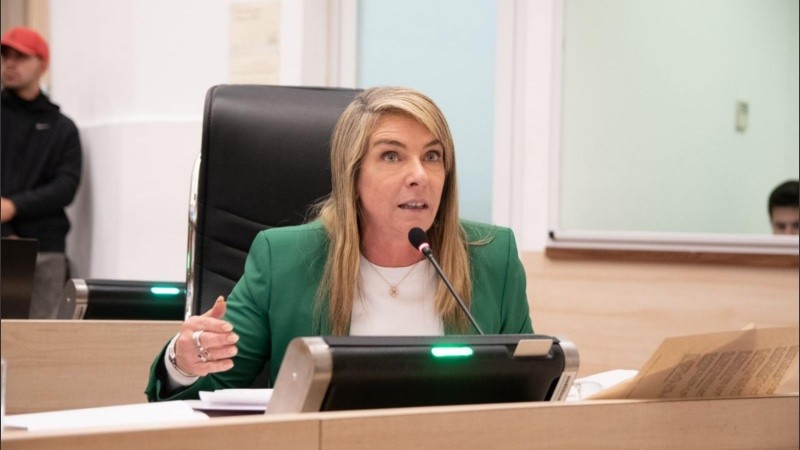 “Venimos de una ordenanza que estuvo vigente más de dos décadas