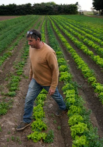 Paca Casilda: de la intoxicación al banquete de las vaquitas de San Antonio