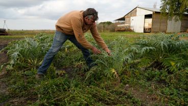 El Proyecto Agroecológico Casilda (Paca) encabezado por Marcelo Fratín y su familia, en 11 hectáreas.