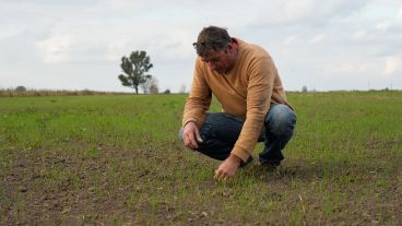 El Proyecto Agroecológico Casilda (Paca) encabezado por Marcelo Fratín y su familia, en 11 hectáreas.