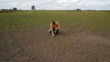 El Proyecto Agroecológico Casilda (Paca) encabezado por Marcelo Fratín y su familia, en 11 hectáreas.