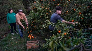 El Proyecto Agroecológico Casilda (Paca) encabezado por Marcelo Fratín y su familia, en 11 hectáreas.