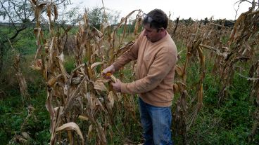 El Proyecto Agroecológico Casilda (Paca) encabezado por Marcelo Fratín y su familia, en 11 hectáreas.
