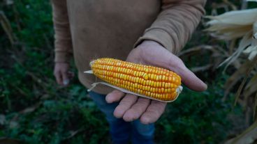 El Proyecto Agroecológico Casilda (Paca) encabezado por Marcelo Fratín y su familia, en 11 hectáreas.