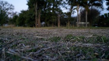 El Proyecto Agroecológico Casilda (Paca) encabezado por Marcelo Fratín y su familia, en 11 hectáreas.