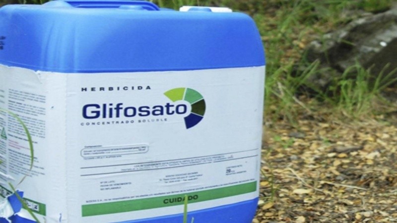 El polémico insecticida divide aguas en Misiones.