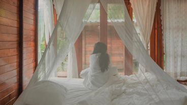 La OPS llama a los países de la región a implementar medidas de prevención y control de vectores.