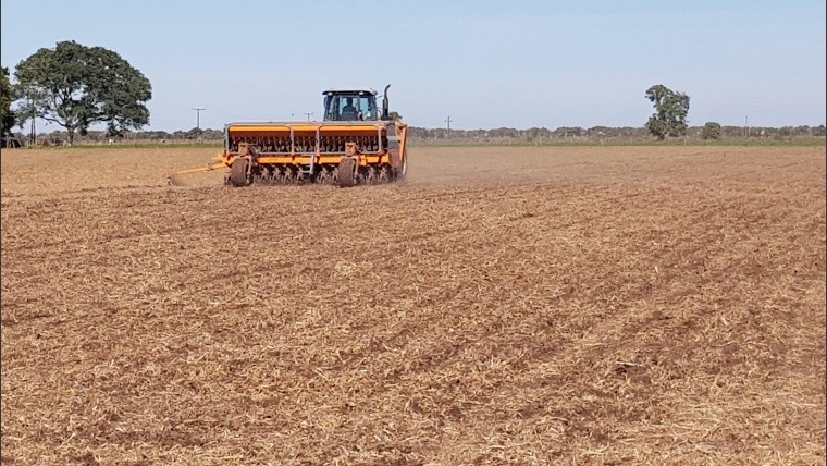 El escenario para las empresas del agro, «más pesimista que hace 30 días y con final abierto»