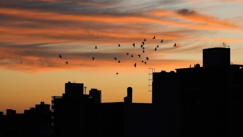 El lunes y el martes comenzarán muy fríos pero desde el miércoles sube la temperatura.