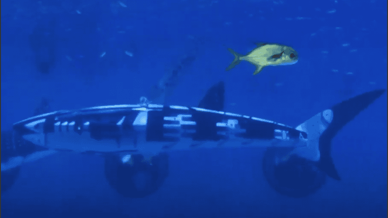 Afirman que el tiburón robótico transformará las operaciones marinas y la investigación científica.