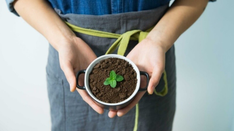 Una alternativa de fácil cuidado y grandes beneficios.