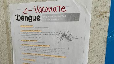 Mosquitos sin fronteras, el objetivo del gobierno contra el dengue.