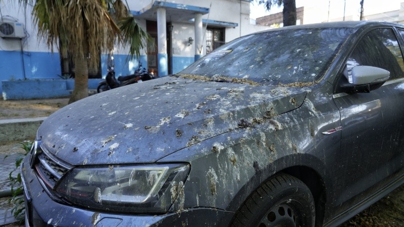 Uno de los autos en estado de abandono.