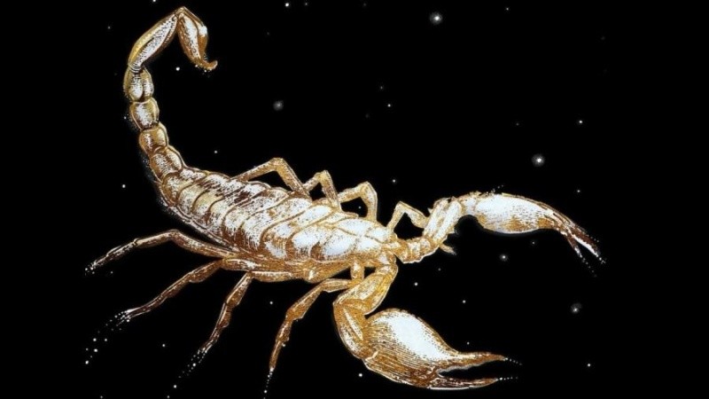 El escorpión de la tapa del último disco de Charly.