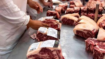 Las pymes del país concentraron sus exportaciones principalmente en Alimentos sin procesar, según Came.