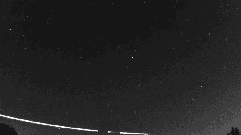 La votación se extenderá hasta el 1 de enero de 2025.